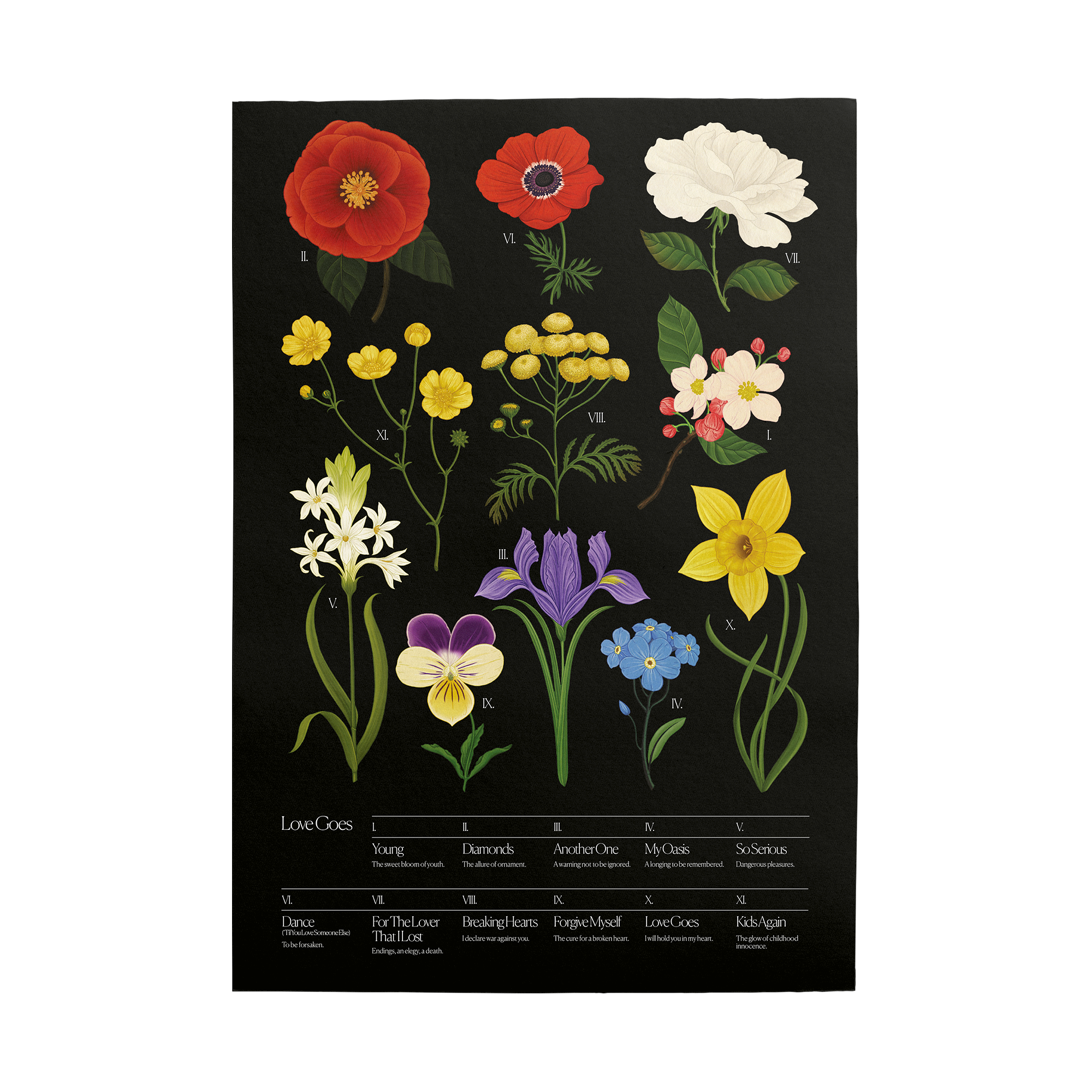 Botanical Poster